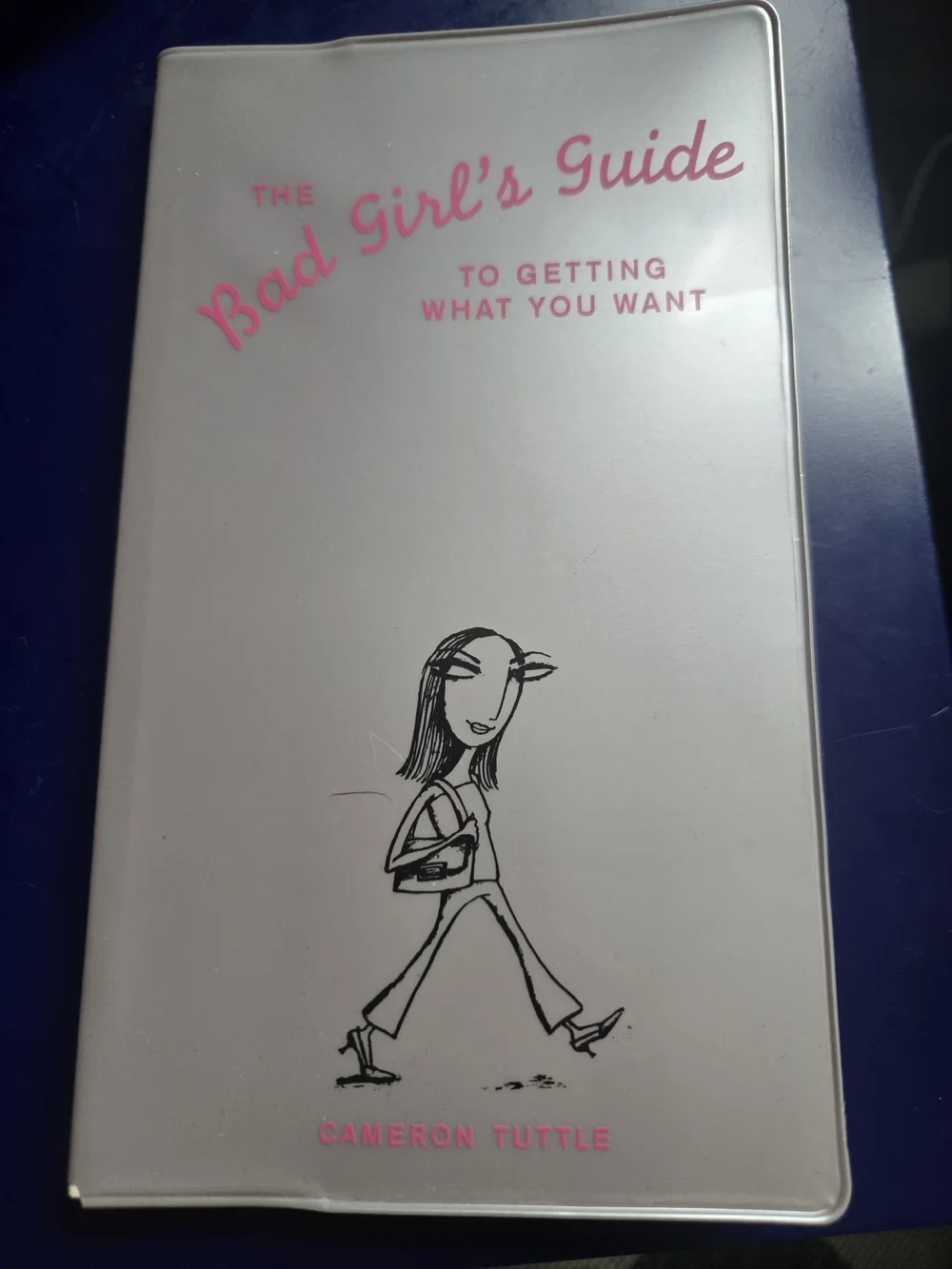 The Bad Girl's Guide to Getting What You Want - Book